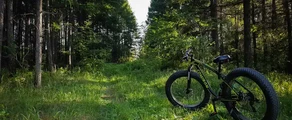 Kurgan : privat jetuthyrning
