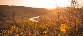 Vladivostok Knevichi: privat jetuthyrning