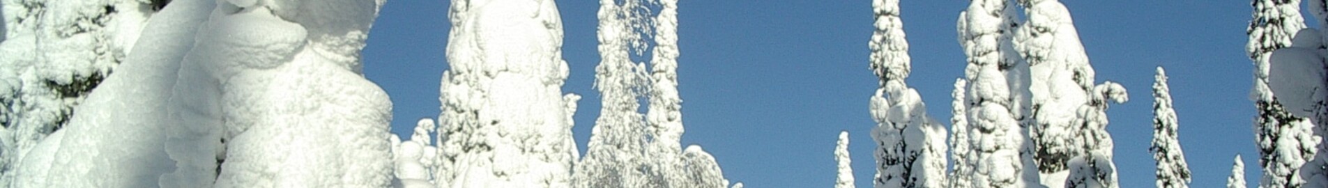 Kuusamo: privat jetuthyrning 