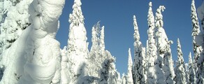 Kuusamo: privat jetuthyrning 