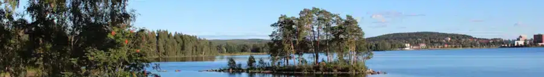 Ludvika: uthyrning av privatjet