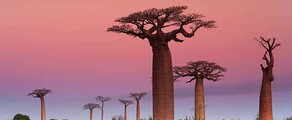 Madagaskar: Uthyrning av privatjet