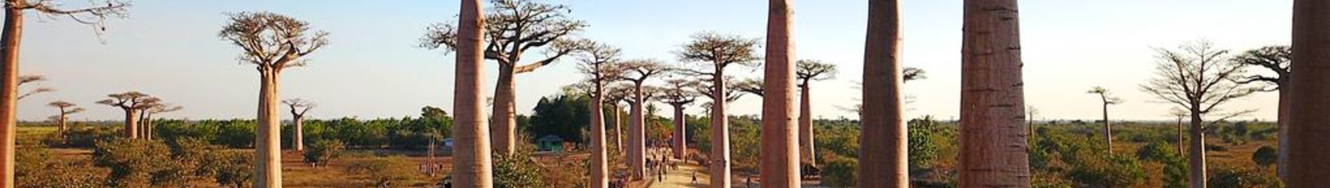 Morondava : privat jetuthyrning