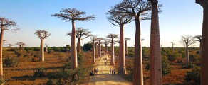 Morondava : privat jetuthyrning