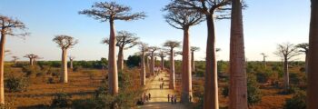 Mbuji Mayi : location de jet privé