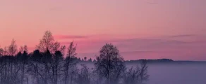 Pitea : privatjetuthyrning