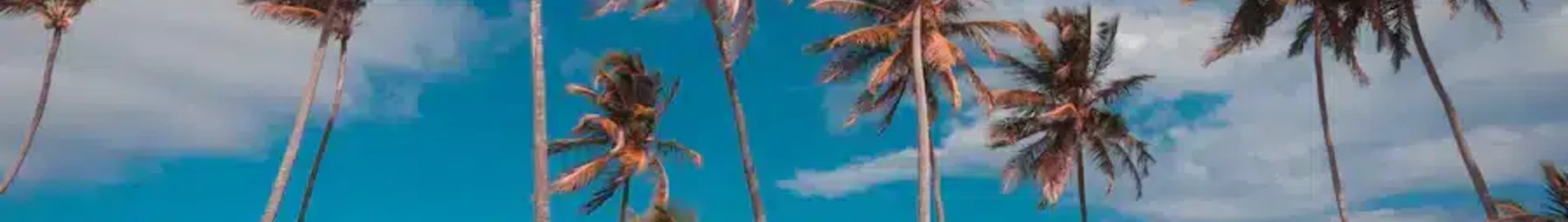 Punta Cana: hyra av privatjet