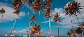 Santo Domingo Dr J Balaguer : uthyrning av privatjet