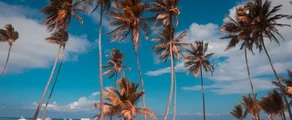 Punta Cana: hyra av privatjet