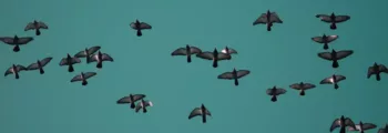 France: location de jet privé