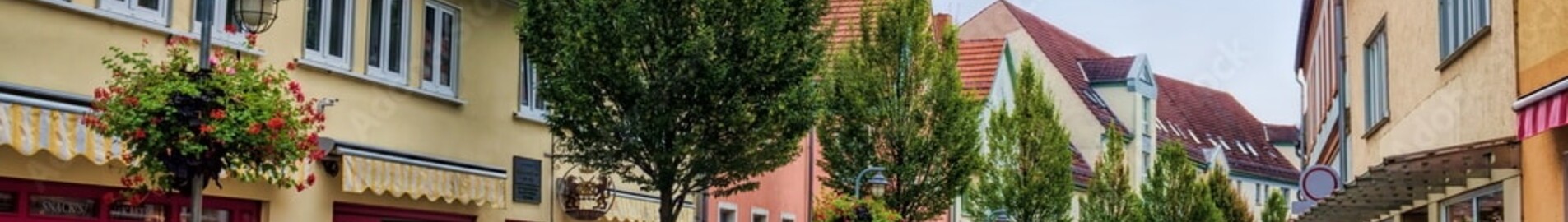 Sommerda : privatjetuthyrning 