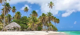 Trinidad & Tobago : Uthyrning av privatjet
