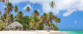 Tobago Scarborough Crown Point : privat jetuthyrning 