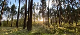 Perm Bolshoe Savino : privat jetuthyrning