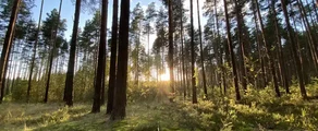 Tver Migalovo: privat jetuthyrning