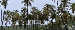 Union Island: privatjetuthyrning