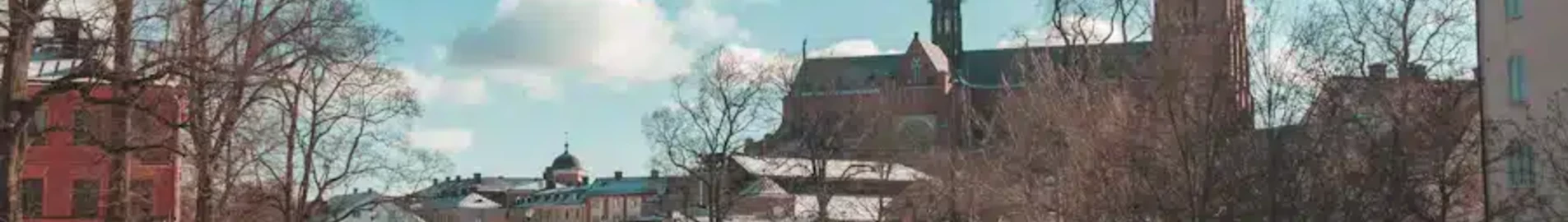 Uppsala: hyra av privatjet