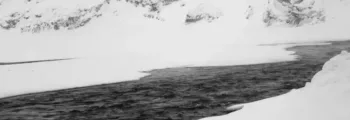 Elbe : location de jet privé