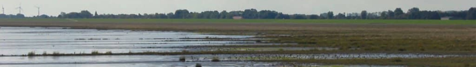 Wilhelmshaven Mariensiel: privat jetuthyrning 