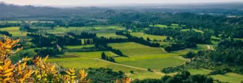 Imatra Immola : location de jet privé