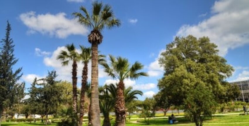 Tunis Carthage: privat jetuthyrning