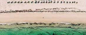 Djerba Zarzis : privat jetuthyrning
