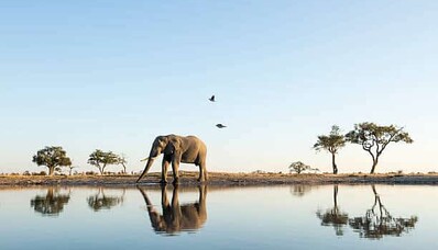 Flygfrakt till Afrika med AEROAFFAIRES