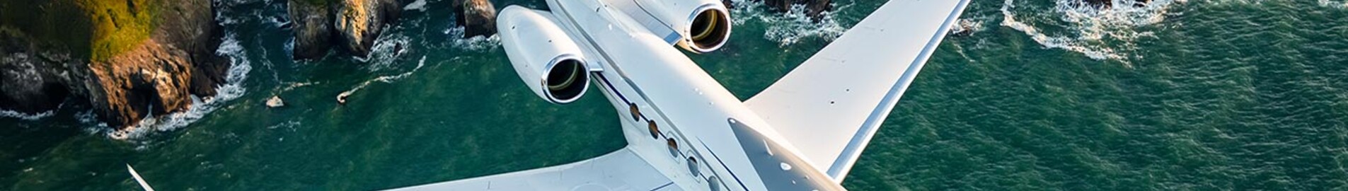 Elon Musks privata jetplan