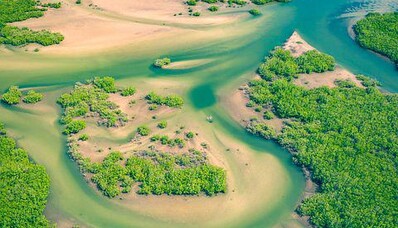 Sanitetstransport mellan Senegal och Frankrike: guiden