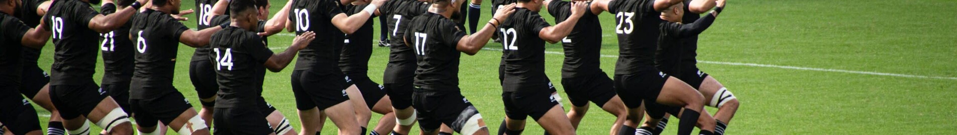 Rugby World Cup 2023: ta dig upp i luften i en privatjet.