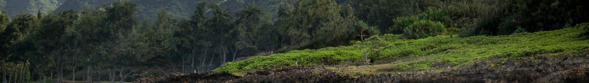 Hawaii : Uthyrning av privatjet och helikopter