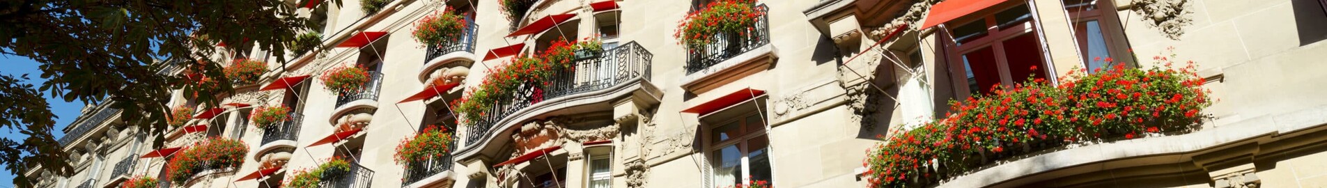 Lyxhotell i Paris: en drömvistelse på Hôtel Plaza Athénée