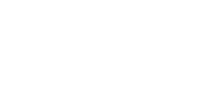 PIAGGIO AVANTI P 180: Privat jetuthyrning 