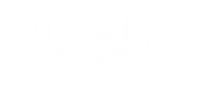 PIAGGIO AVANTI P 180: Privat jetuthyrning 
