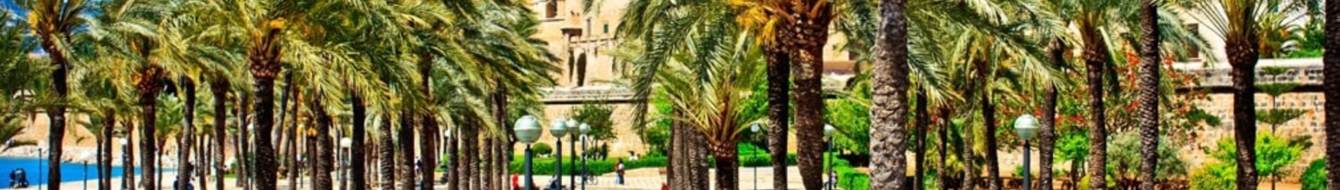 Neapel - Palma de Mallorca: privatjetuthyrning