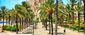 Neapel - Palma de Mallorca: privatjetuthyrning