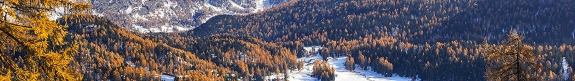 Saint-Tropez - Saint-Moritz Samedan: privat jetuthyrning