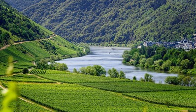 Europeiska vingårdar att besöka med privatjet