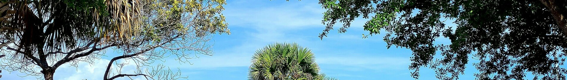 Los Angeles - Tampa: privat jetuthyrning