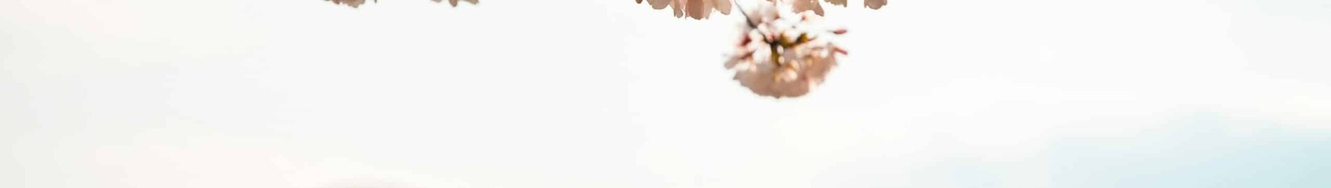 Las Vegas - Washington DC: privat jetuthyrning