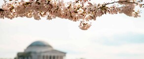 Las Vegas - Washington DC: privat jetuthyrning