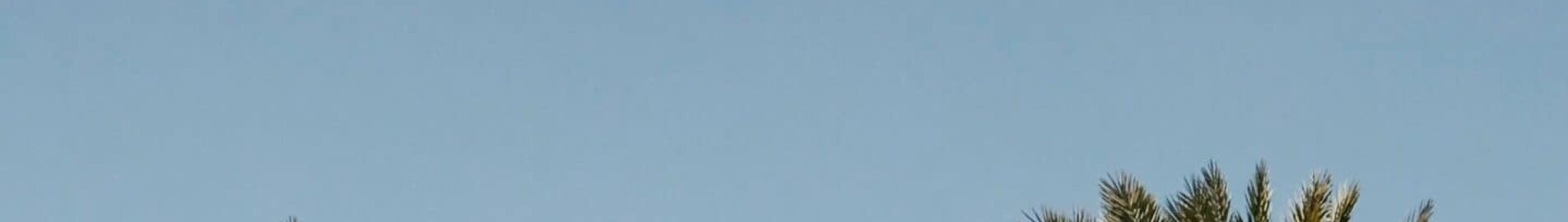 Houston - Orlando: privat jetuthyrning