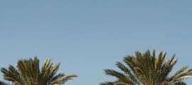 New York - Seattle: privat jetuthyrning