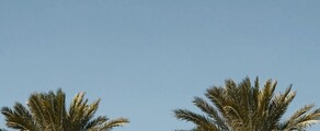 Houston - Orlando: privat jetuthyrning