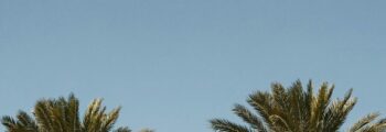 Louer jet privé Budapest - AEROAFFAIRES