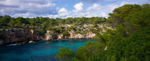 Frankfurt - Palma: privat jetuthyrning