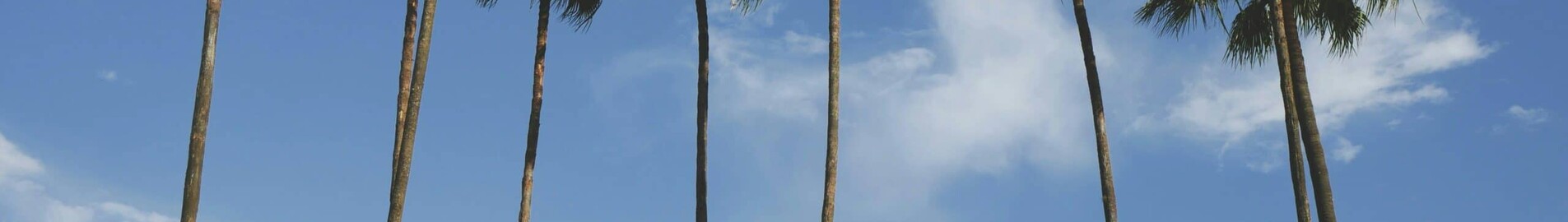 Los Angeles - Orlando: privat jetuthyrning