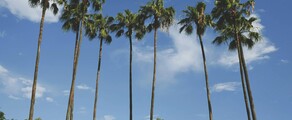 Los Angeles - Orlando: privat jetuthyrning