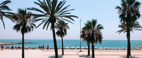 Frankfurt - Barcelona: hyra av privatjet