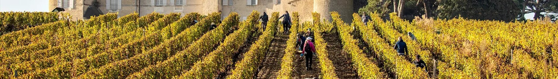 Bordeaux vingårdar: helikopterupplevelse